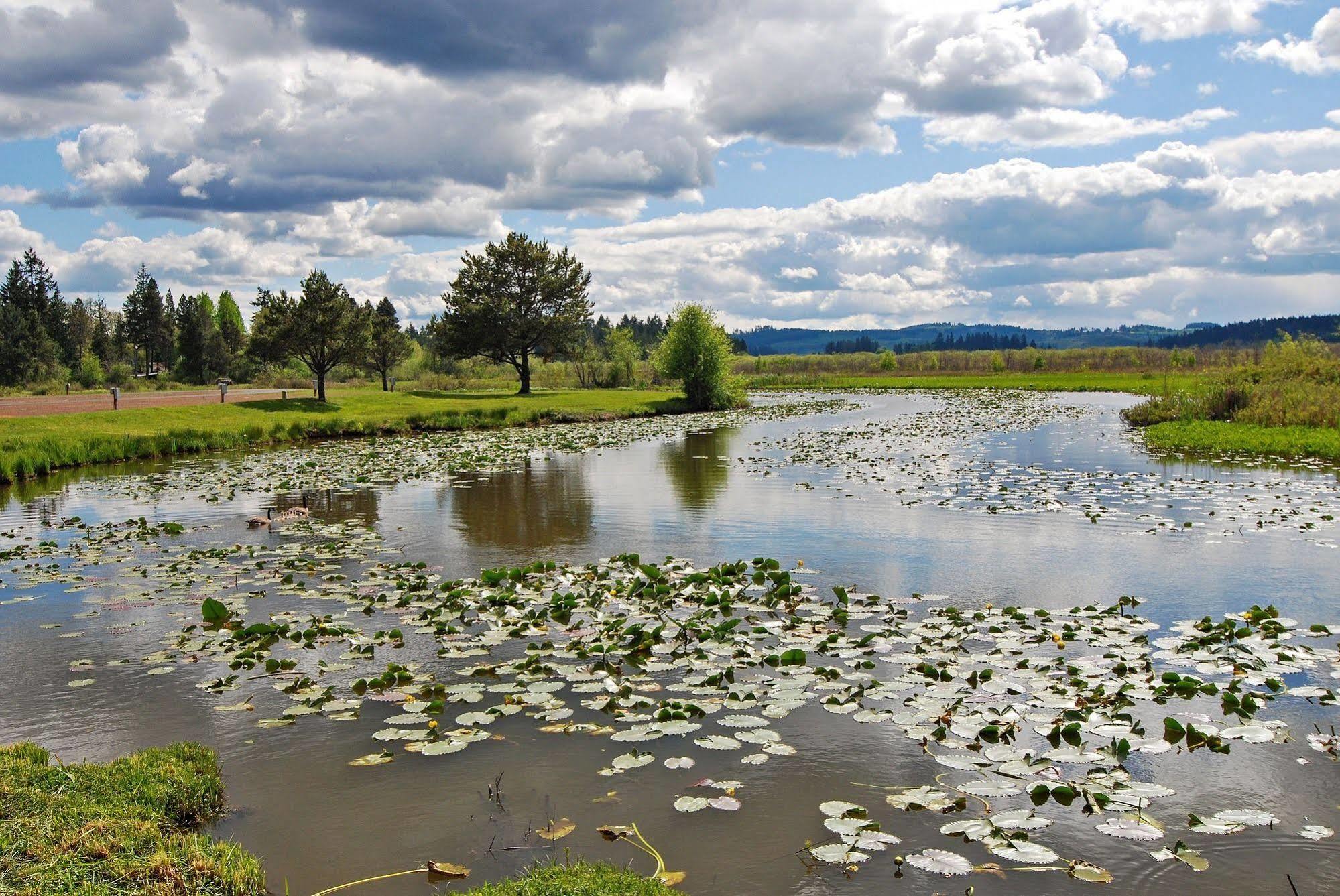 Silver Cove Rv Resort Silver Lake Екстер'єр фото